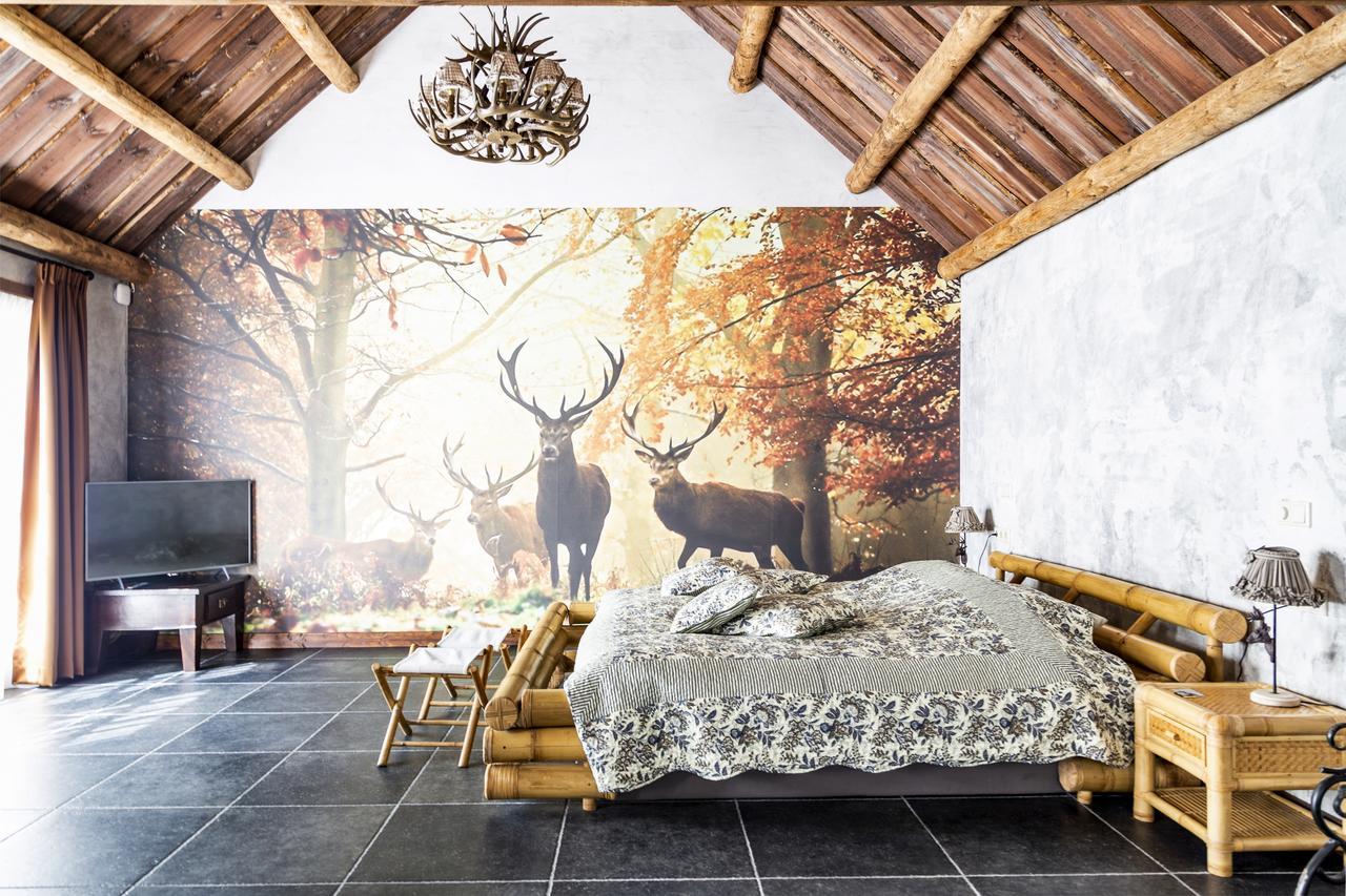 Bed and Breakfast De Vrolijcke Bosmuis Bergeijk Екстер'єр фото